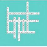 USMagazine Crossword Answers: Your Ultimate Solving Guide